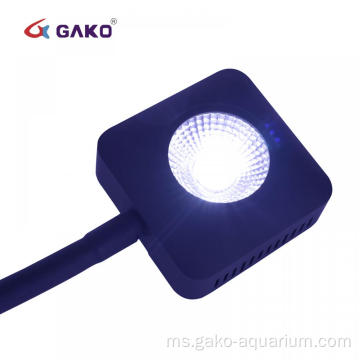 Air masin diterajui akuarium tangki ikan ringan LED